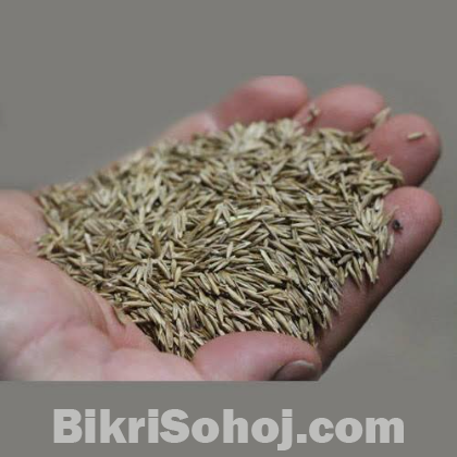 Carpet grass seeds/ Lawn grass seeds